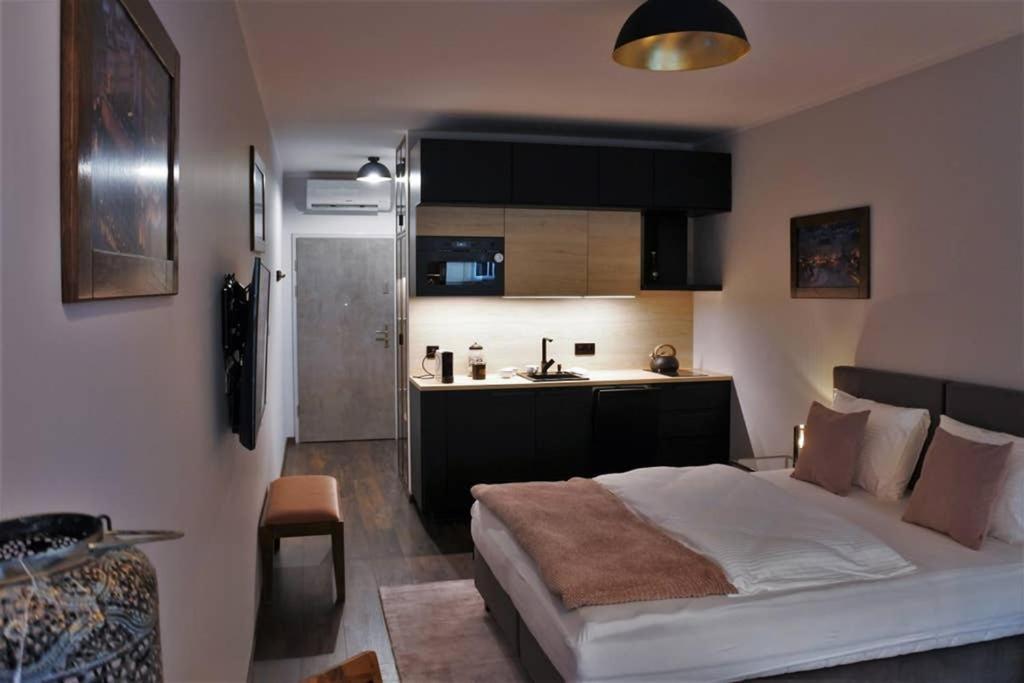 Boutique 109 - Old City, Luxury Apt. With A Garage 크라쿠프 외부 사진